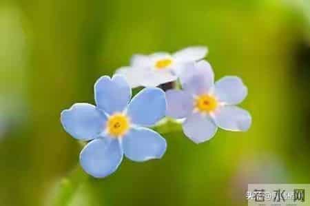 一位百岁老人感慨-最好的养老方式是