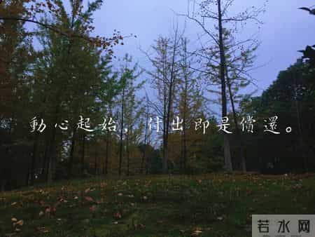 别在孩子情绪激烈时提建议，这样更有效！