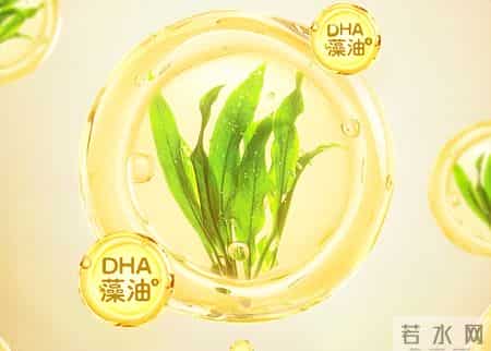 2026年DHA品牌排名前十：畅销热门品牌发布，天然配方温和效果好