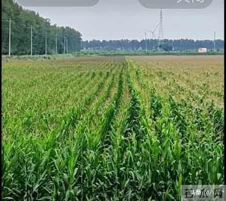 60岁后，手里有钱，心里不慌，这才是晚年最硬气的靠山