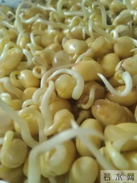 冬季买菜时，这4种蔬菜可能含有甲醛，建议少吃