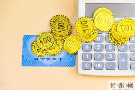 2026福建社保新政解读：厦福两地养老缴费与认证指南，提前了解！