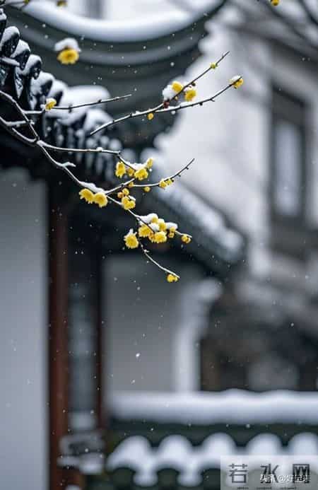 八旬老者临终醒悟：晚年守住这三样，比子女孝顺重要！