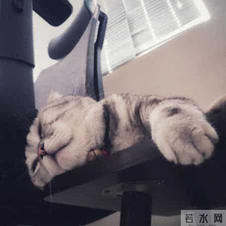 下班先睡为敬！是摆烂还是人间清醒？当代打工人的“充电式下班”