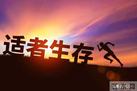 如何在销售行业活下去，而且活得风生水起呢？