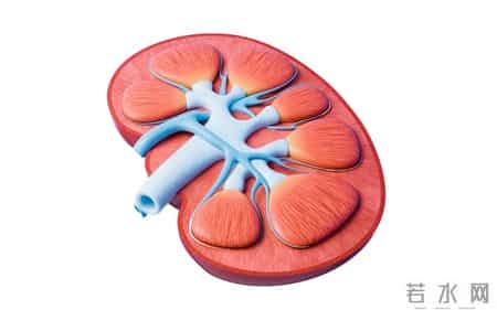 人有没有肾病，看喝水就知？医生：有肾病的人，喝水多会有4异常