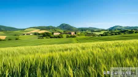 退休2年，我才发现，65岁以上还在拼命打工的人，基本上是这5种人