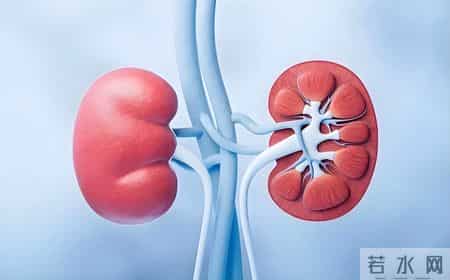 人有没有肾衰竭，看平常就知？肾病患者，日常有这6个表现！