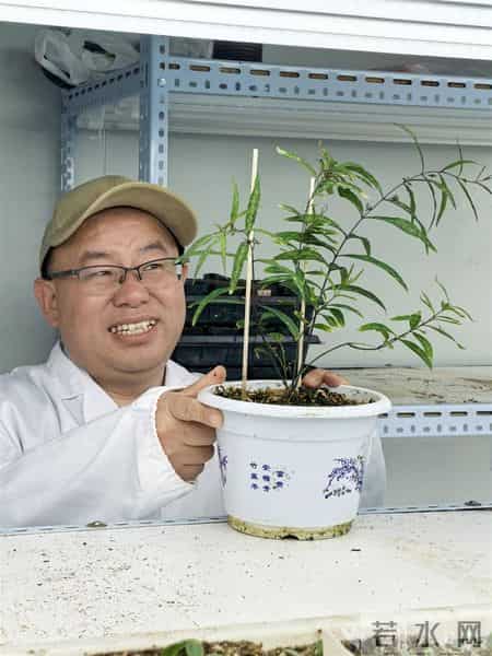 托举十大道地楚药底盘——专访湖北科技进步一等奖获得者、湖北中医大学刘大会教授团队