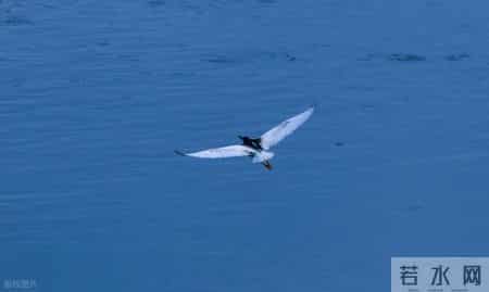 “反孝起义”：没被爱过的孩子，凭什么要孝？