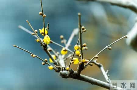 唐诗里藏着9个“升职加薪密码”，古人早就说明白了