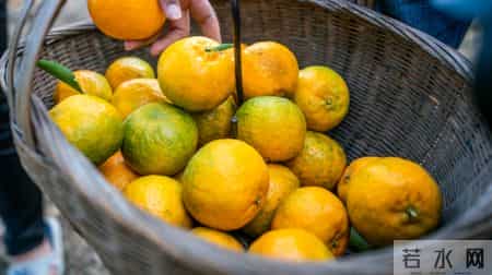 国外研究：橘皮加热100°C，能杀死93%的癌细胞，科学还是谣言？