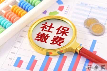 2026城乡居民养老：15年只是门槛！多缴多领还是踩坑？算清再缴