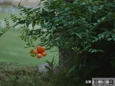 70岁大爷忠告-子女再孝顺也别住在一起，这3个弊端太现实