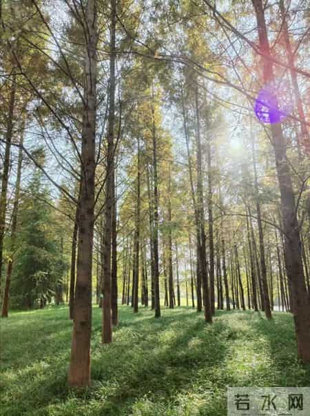 我退休5年今年55岁，不是因为穷，而是节约，保持了以下这些习惯