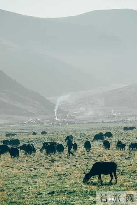 我70岁丧偶，独居五个月后才明白：失去伴侣的晚年生活，真没意思