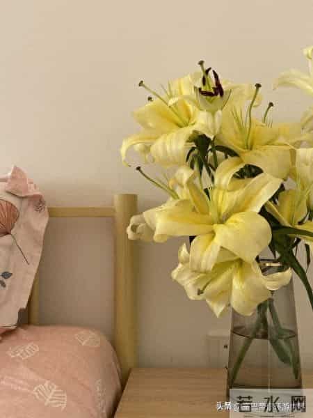 嘴快一时爽，懊悔一辈子，口不择言的惨痛教训