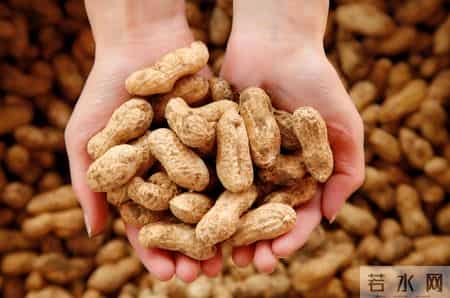 医生调查发现：不吃花生和鸡蛋的人，胆固醇马上就降低了？可信吗