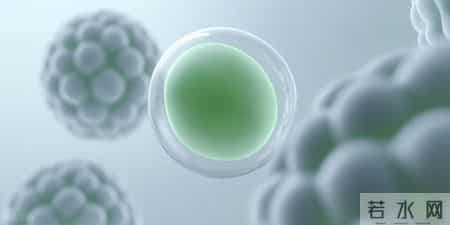 化疗次数越多，转移就越快？这几类癌症患者需严格控次！