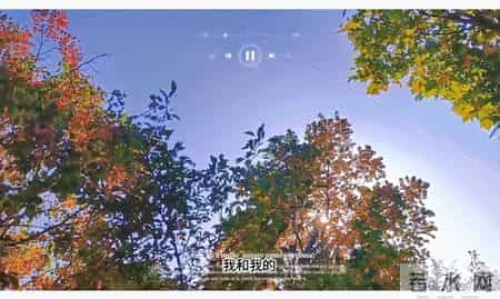 带娃的下半场，父子俩一起“缴械投降”