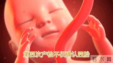 奇迹！辽宁一孕妇两月内一胎变四胎每次产检多一胎