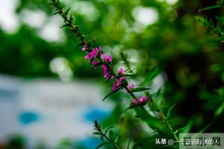 回忆录——十七的我就变成了打工仔