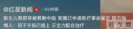 痛死了！新生儿被剪断手指紧急转院， 家属发声暂不谈赔偿太扎心