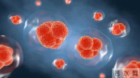 医院的医生患癌症，为什么大部分都会拒绝化疗？根本原因有这几点