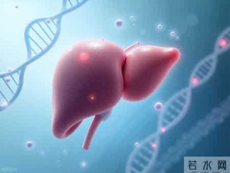 调查发现-60岁后常吃鸡蛋，患肝癌风险是不吃鸡蛋的数倍？真的吗
