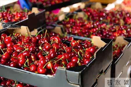 车厘子再次被热议！医生发现：糖尿病患者吃车厘子时，多重视4点