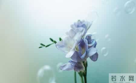 有这些特征，说明你比别人聪明很多倍！