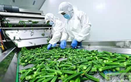 知名大学：高血压患者补叶酸，血管张力降低，中风风险降近三成半