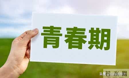 那个985博士说：我输给了专科生，别走我的路