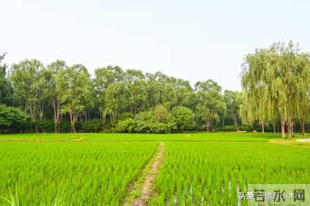 孩子一生唯一的黄金九年，很多父母都后悔太晚看到