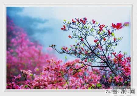 人过六十后发现，帮子女带娃时，要学会“翻脸”才是最大的修行！