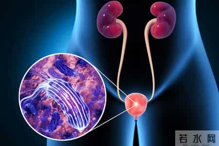 多名医生提醒：只要做过前列腺B超，中老年男性务必重视这5指标！