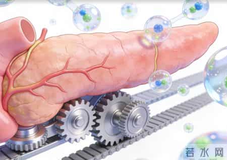 预防胰腺炎有哪些要点？温馨提醒：日常防护，牢记4个关键