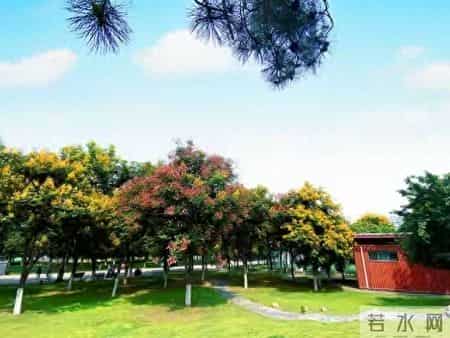 职场中，做事漂亮不如处事漂亮