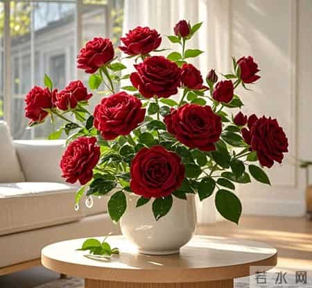 人老了才懂得：两代人保持“一碗汤”的距离，才是最高级的孝顺