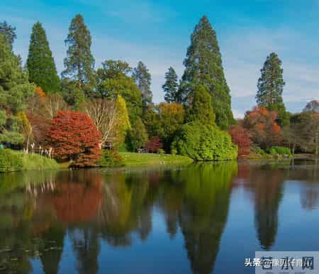 23分钟不打扰：从蚯蚓黏液里，挖出最硬核的育儿真相