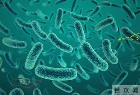 咸菜立大功！研究表明：冠心病患者常吃咸菜，或能改善5种并发症