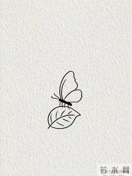 画个简笔画分享