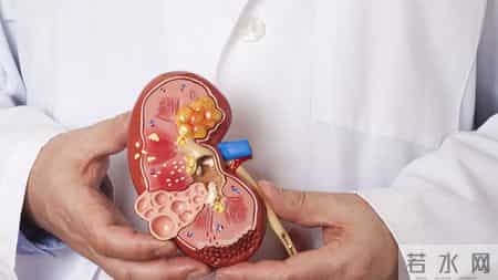 茶叶再次被关注！医生发现：高血脂患者常喝茶，或出现这些变化