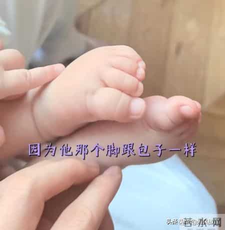 包文婧晒8个月胖儿子！10岁饺子一句话太戳心，压岁钱全给弟弟