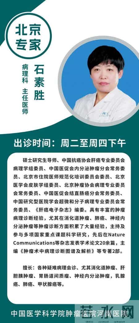 肿瘤诊疗“国家队”齐聚河南，周四义诊看这里