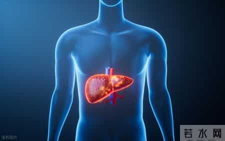 南京大学研究：低密度胆固醇越低，癌症风险越高？控制到多少才好