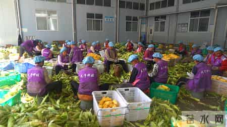 乡村振兴 - 云南景东：不用远走！工作就在家门口