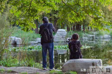 退休后，如果有这4种欲望，说明您还没老呢！