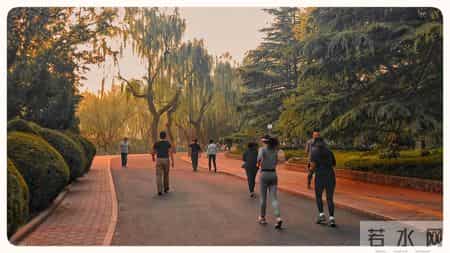 癌症最怕：8种“碱性食物”要常吃！激活免疫力，抵抗体内癌细胞