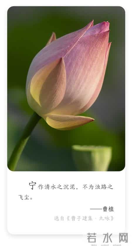 瞰·阎良——2025年度职工居民门诊慢性病零星报销工作已启动